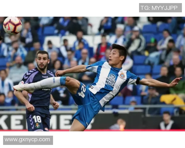 1988年足球巨星风云再起 回顾经典赛季与球员的辉煌时刻 1988年足球巨星风云再起 回顾经典赛季与球员的辉煌时刻